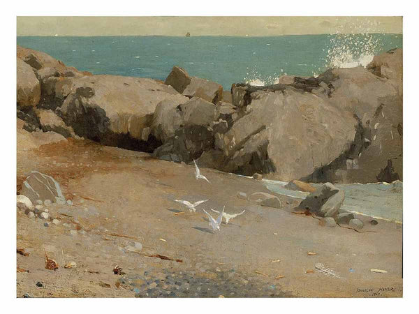 Rocky Coast and Gulls