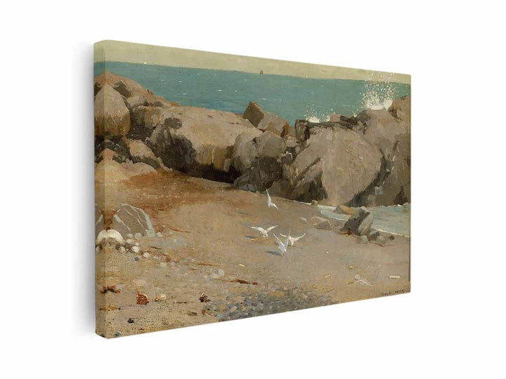 Rocky Coast and Gulls