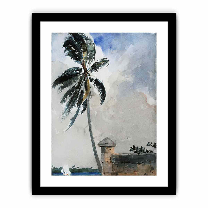 A Tropical Breeze, Nassau