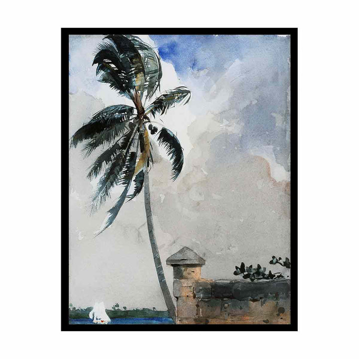 A Tropical Breeze, Nassau