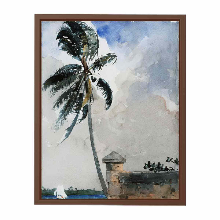 A Tropical Breeze, Nassau