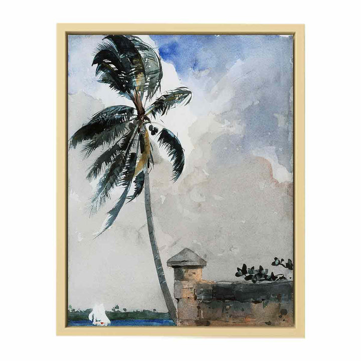 A Tropical Breeze, Nassau