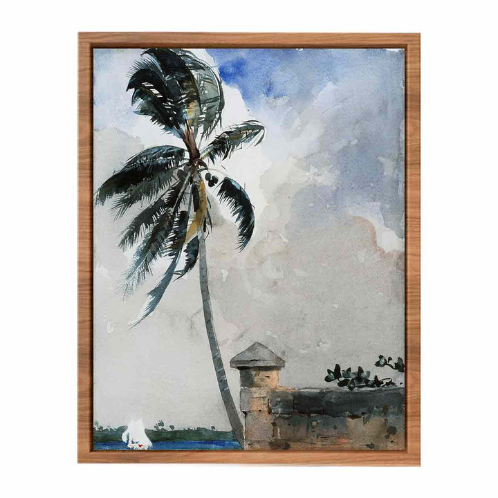 A Tropical Breeze, Nassau