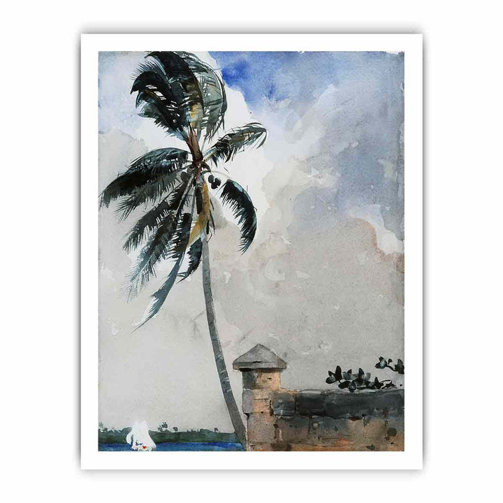 A Tropical Breeze, Nassau