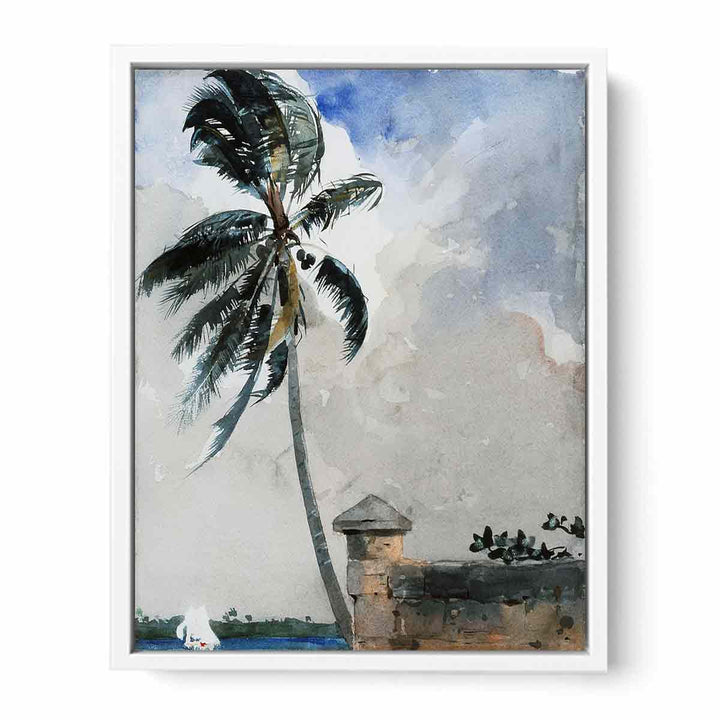 A Tropical Breeze, Nassau