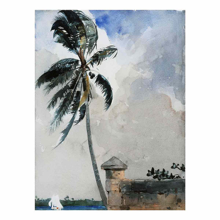 A Tropical Breeze, Nassau