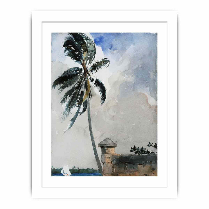 A Tropical Breeze, Nassau