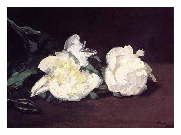 Branch of White Peonies and Secateurs