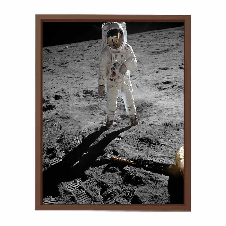 Astronaut  Walk   on Moon