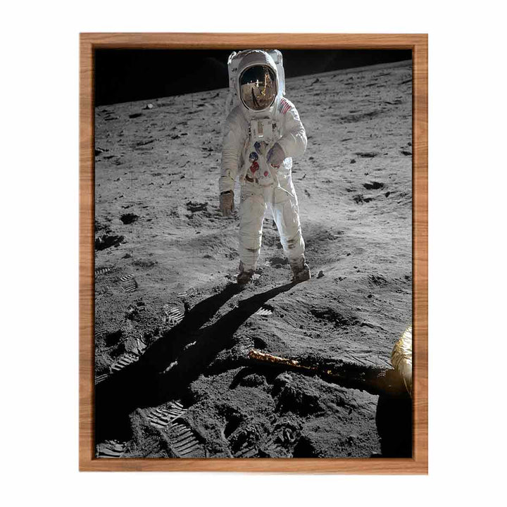 Astronaut  Walk   on Moon