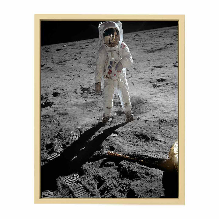 Astronaut  Walk   on Moon