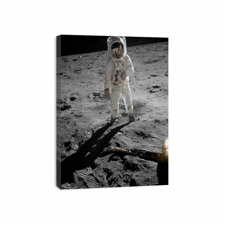 Astronaut  Walk   on Moon