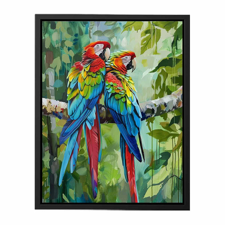 Parot Love Birds