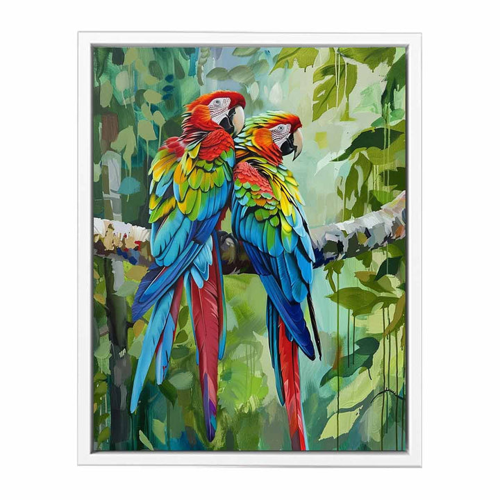 Parot Love Birds