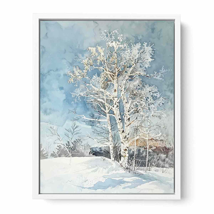 White Brich tree  Canvas Print