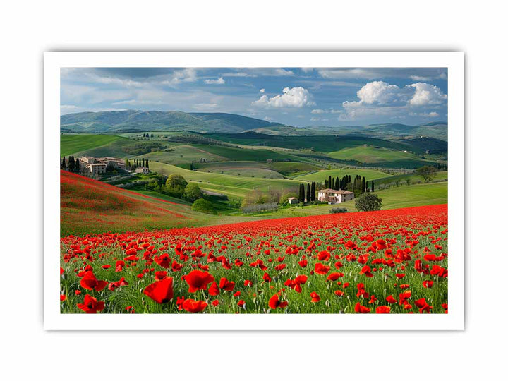 Field Of Poppies