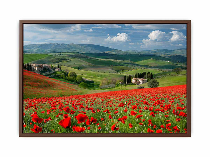 Field Of Poppies