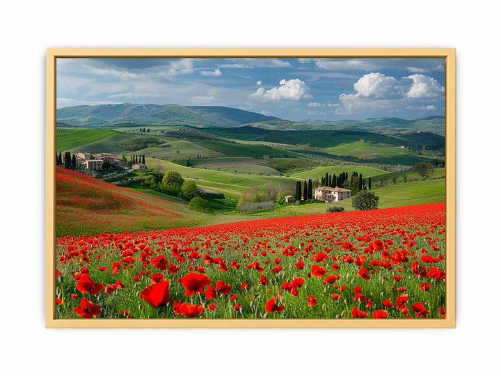 Field Of Poppies