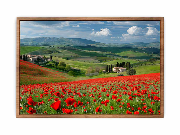 Field Of Poppies