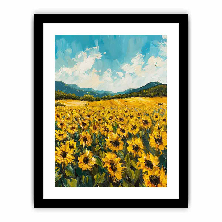 Sunflower Field