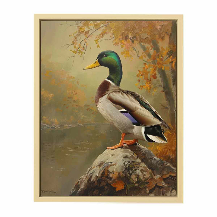 Duck Painting  Framed Print