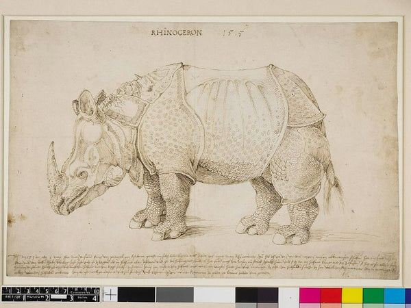 Rhinoceros 3