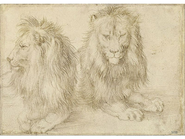 Two seated lions