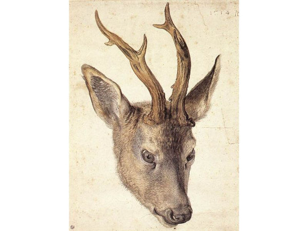 Head of a Stag