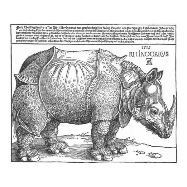 Rhinoceros