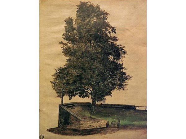 Linden Tree on a Bastion