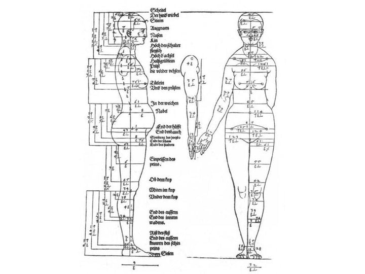 Studies on the Proportions of the Female Body