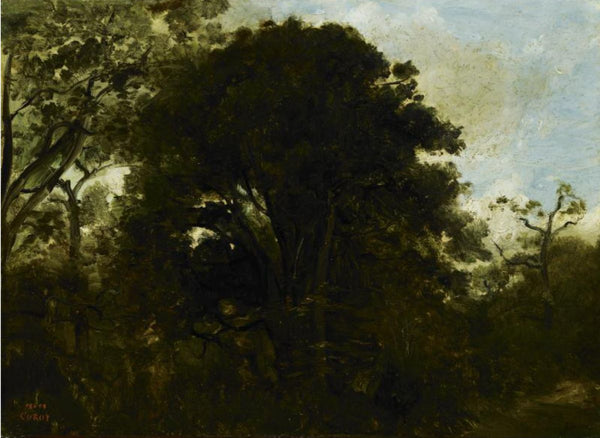 Study Of Trees 