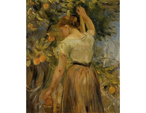 Young Woman Picking Oranges