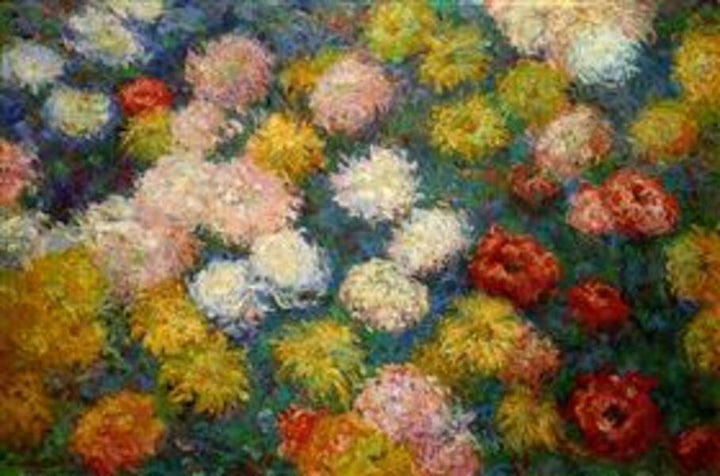 Chrysanthemums
