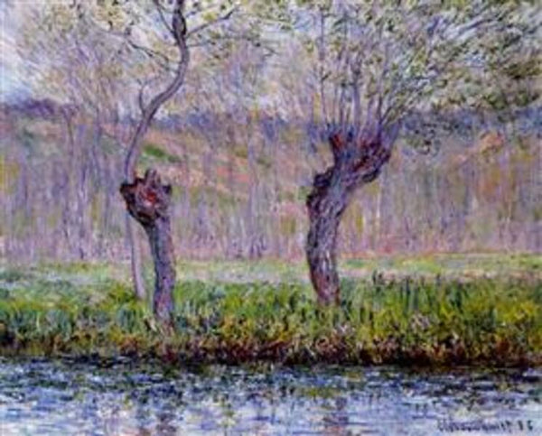 Willows In Springtime 