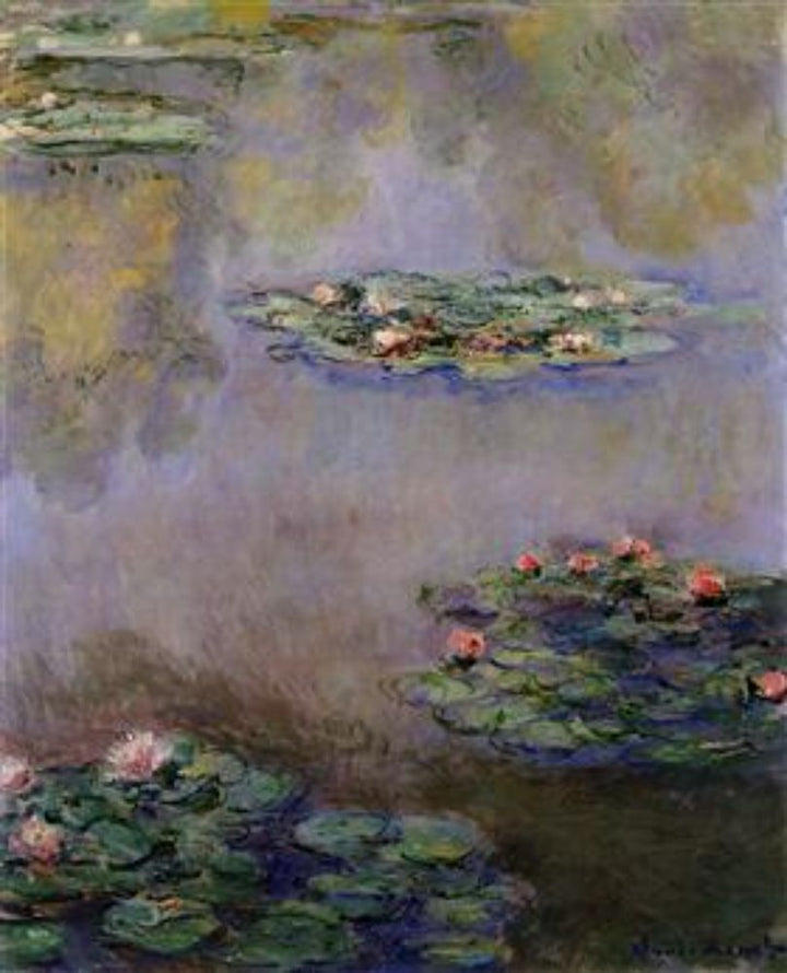 Water-Lilies 23 