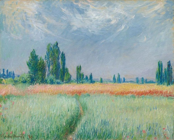 Wheatfields 