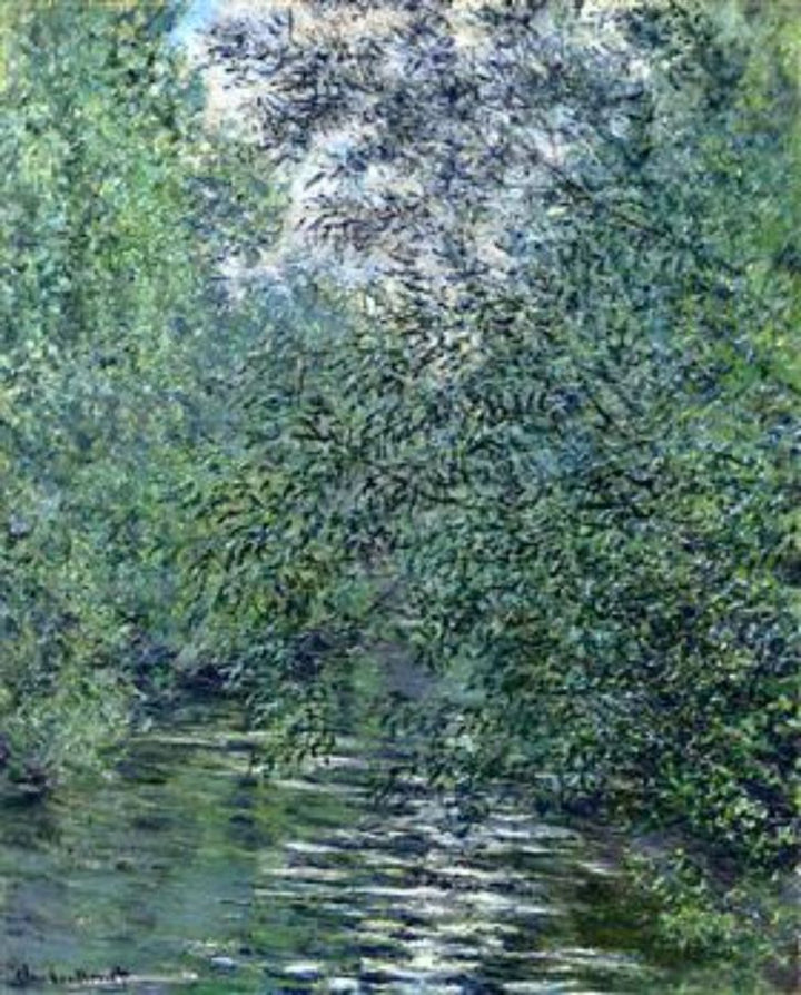 The Willows on the River 