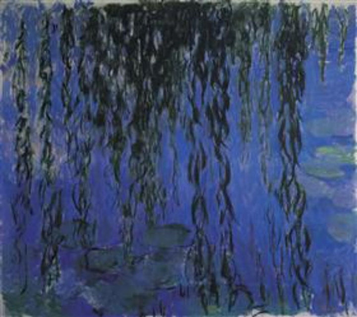 Water Lilies and Weeping Willow Branches 