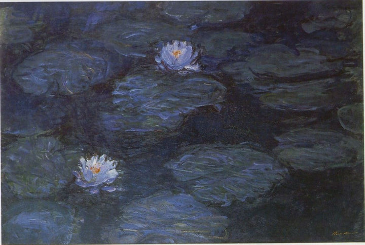 Water lilies
