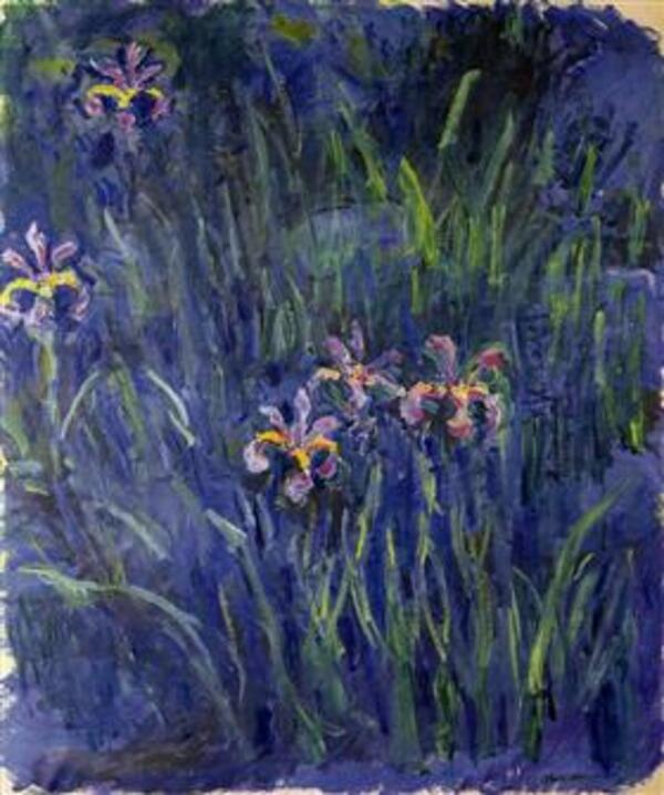 Irises3 