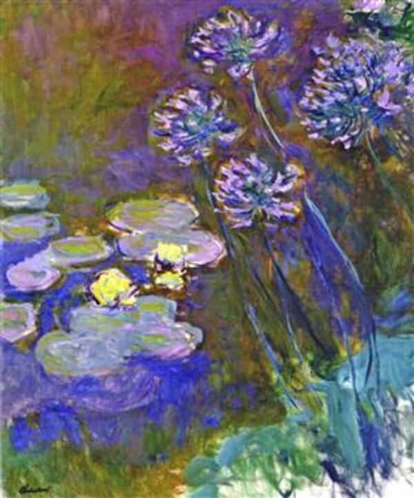 Water Lilies And Agapanthus59 