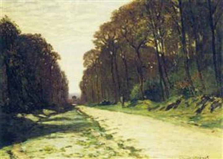 Road In A Forest 