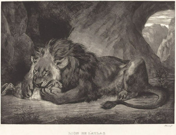 Lion of the Atlas