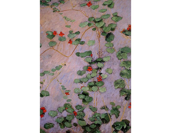 Nasturtiums