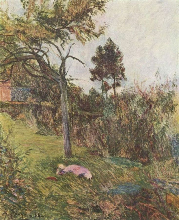 Young Woman Lying In The Grass 