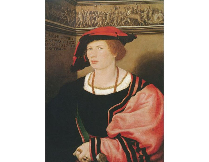 Portrait of Benedikt von Hertenstein 1517 