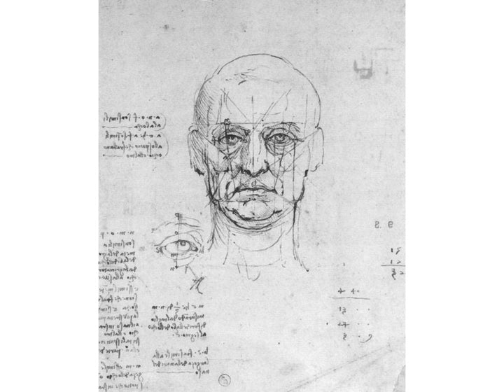 Study On The Proportions Of Head And Eyes 