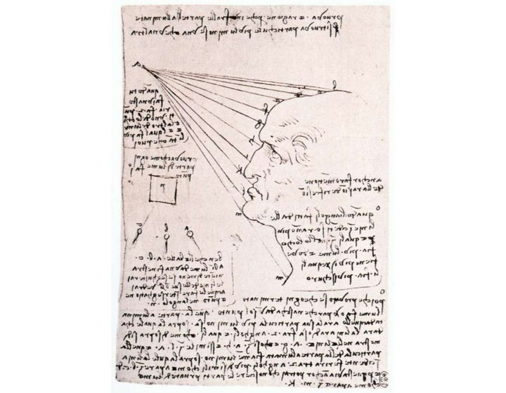 Study Of The Effect Of Light On A Profile Head Facsimile 