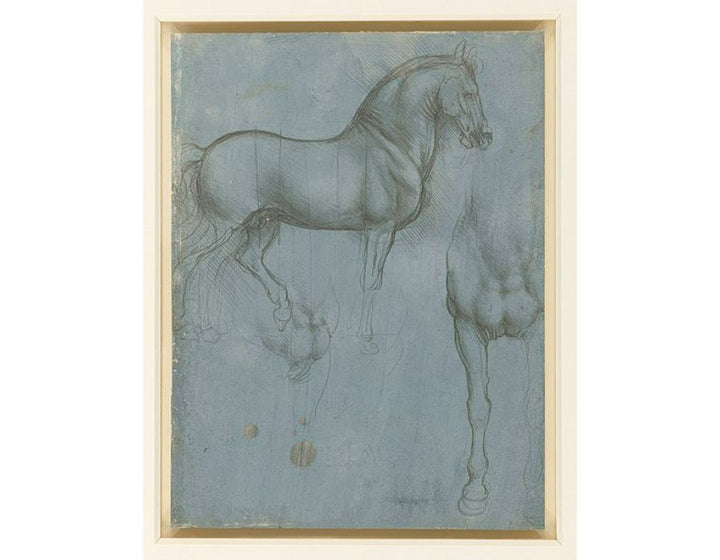 horse3 